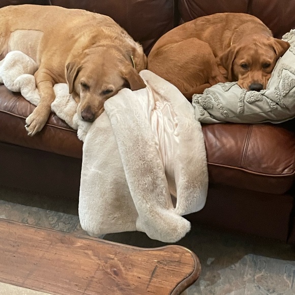 Meet your Posher, Patty - Picture 2 of 7